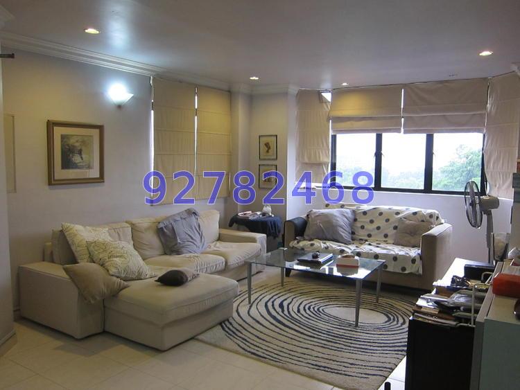 Mar Thoma Mansions (D12), Apartment #68930332